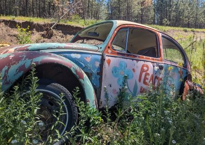 Dead or Alive Auto Recycling Ltd | VW LoveBug1